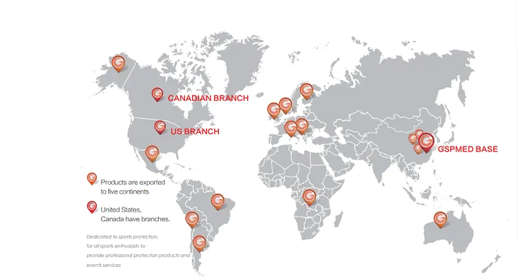 L WELLs Customers All Over the World L WELLs Customers All Over the World